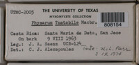 Image Associated With the Occurence